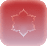 Next.js 16